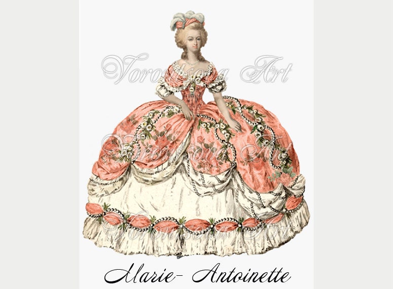 Marie Antoinette Pink roses Image Transfer for PILLOWS, tea towels, appron, bags and more Marie Antoinette rose. 018
