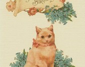 Victorian Cat Birthday Card - Stop and smell the flowers, Just don't eat them too (Victorian style)