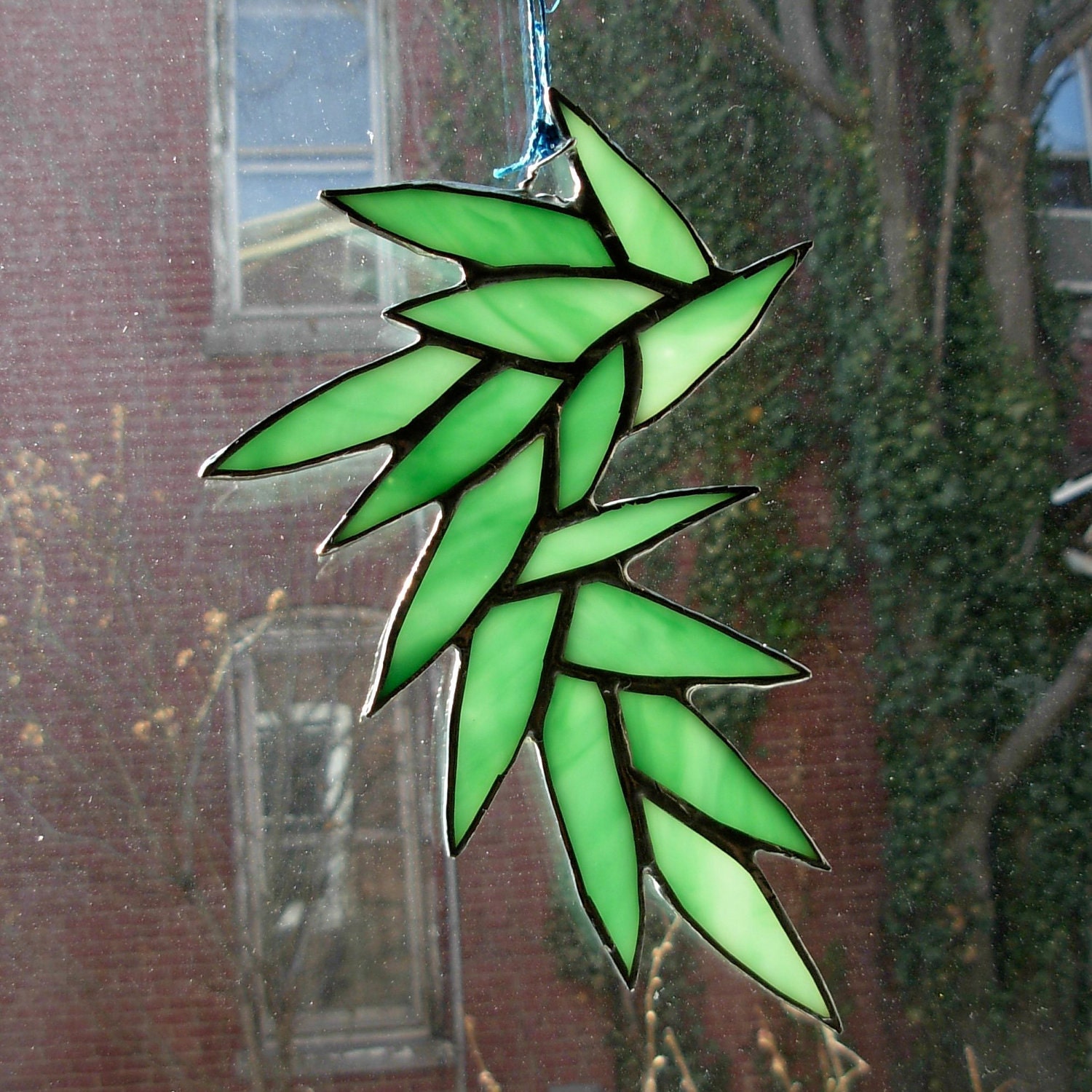 The green vine as opalescent