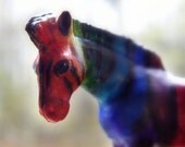 Zody, the Zebra of a Different Color, Rainbow Zebra Pencil Topper
