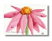 ACEO Dewdrop Cone Flower ORIGINAL painting