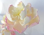 reserved peony and 2 leaves -  priority shipping