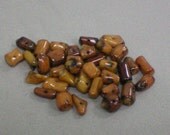 Amber Coral