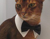 White point collar with interchangeable bow tie