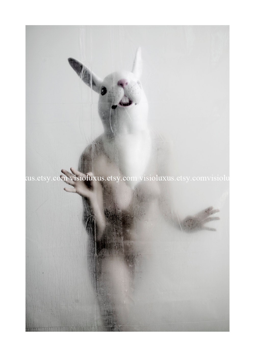 White Rabbit - 5x7