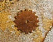 Trinity Brass Co - 2 Trinity Vintage Patina 19mm Gears - Steampunk LOW SHIPPING
