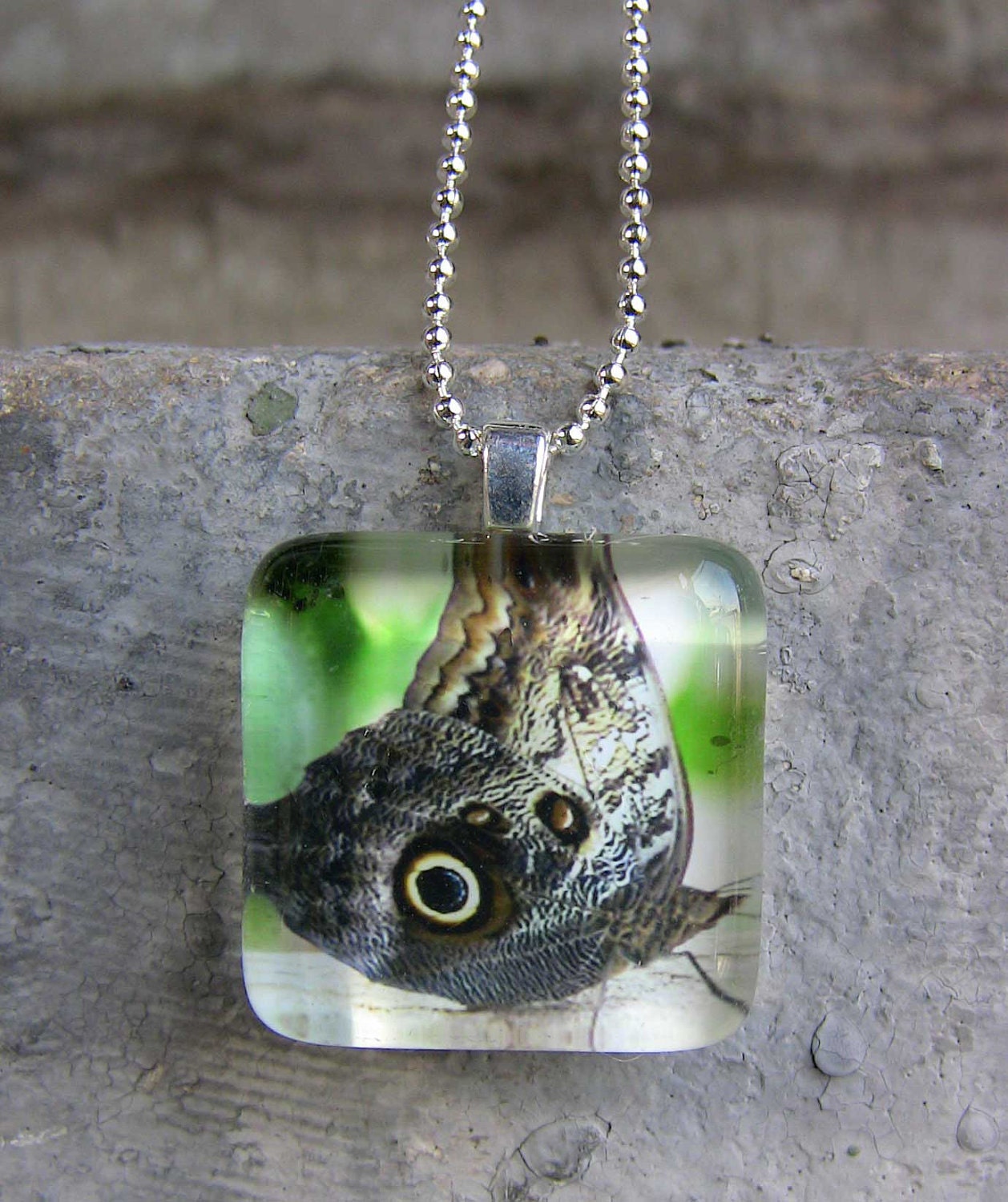 owl butterfly photo pendant