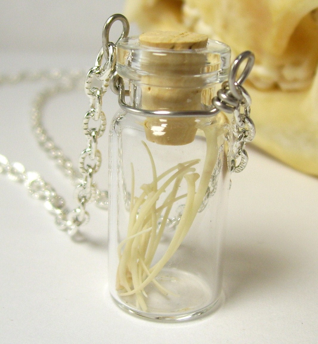 Real SNAKE RIB BONES Bottle Vial Jar Silver Gothic Steampunk Unisex Necklace Pendant