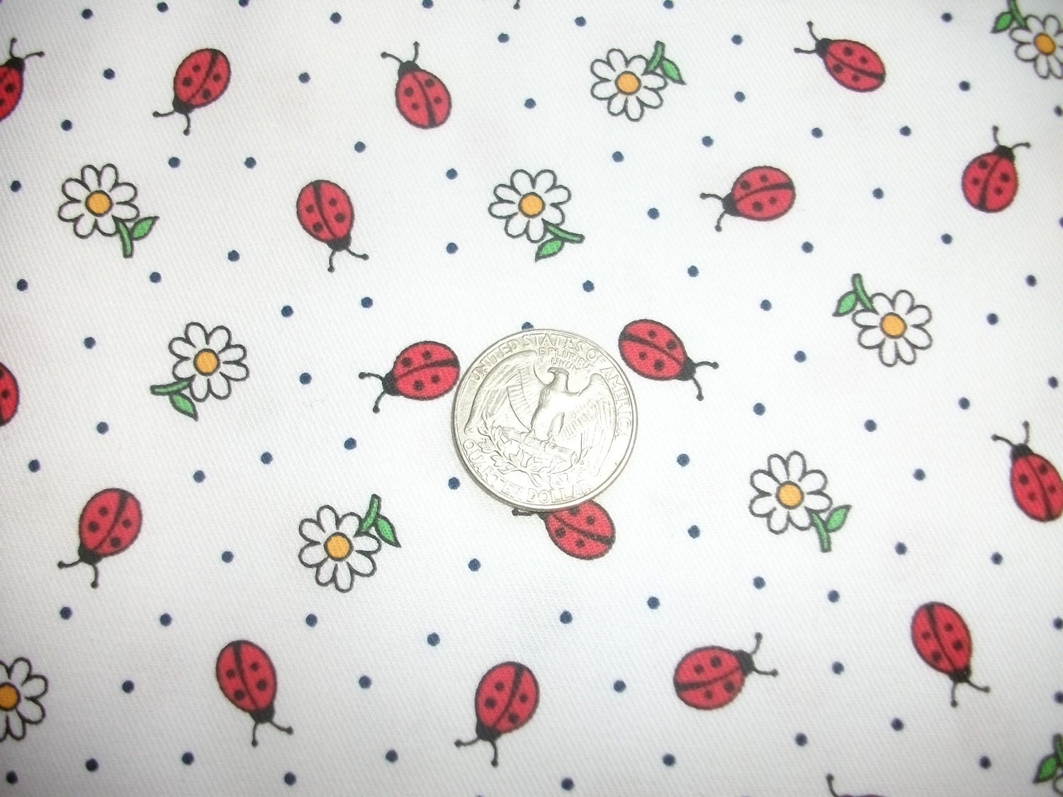 Ladybugs with daisys cotton pique