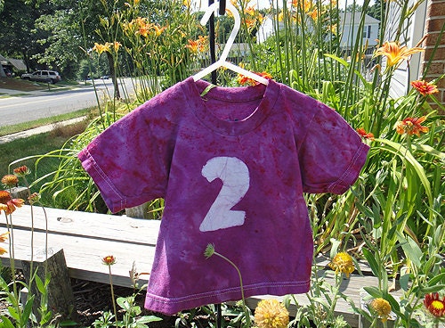 SALE Purple Second Birthday T-Shirt with Batik 2 (2-3T) Ready to Ship