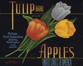 TULIP brand apple crate label, Yakima flowers