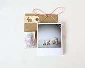 Polar Bear - 4x5 card