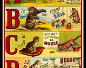 ABC Refrigerator Magnet - free US shipping