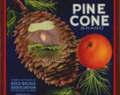 San Bernadino crate label Pine Cone Arrowhead