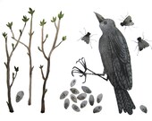 That Which Remains raven large original watercolor painting