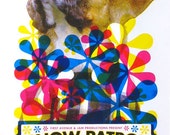 Snow Patrol Rock Poster