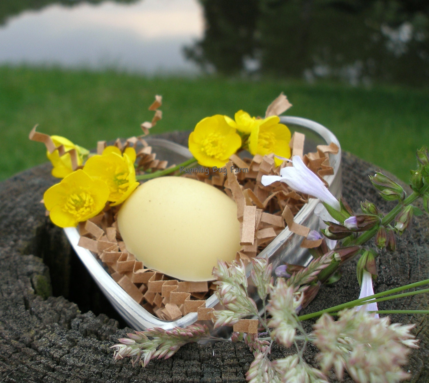 Organic Lotion Bar All Natural Bath Melt  White Chocolate Egg  100 Percent Organic  Trial Size  Hand Cream Skin Treatment