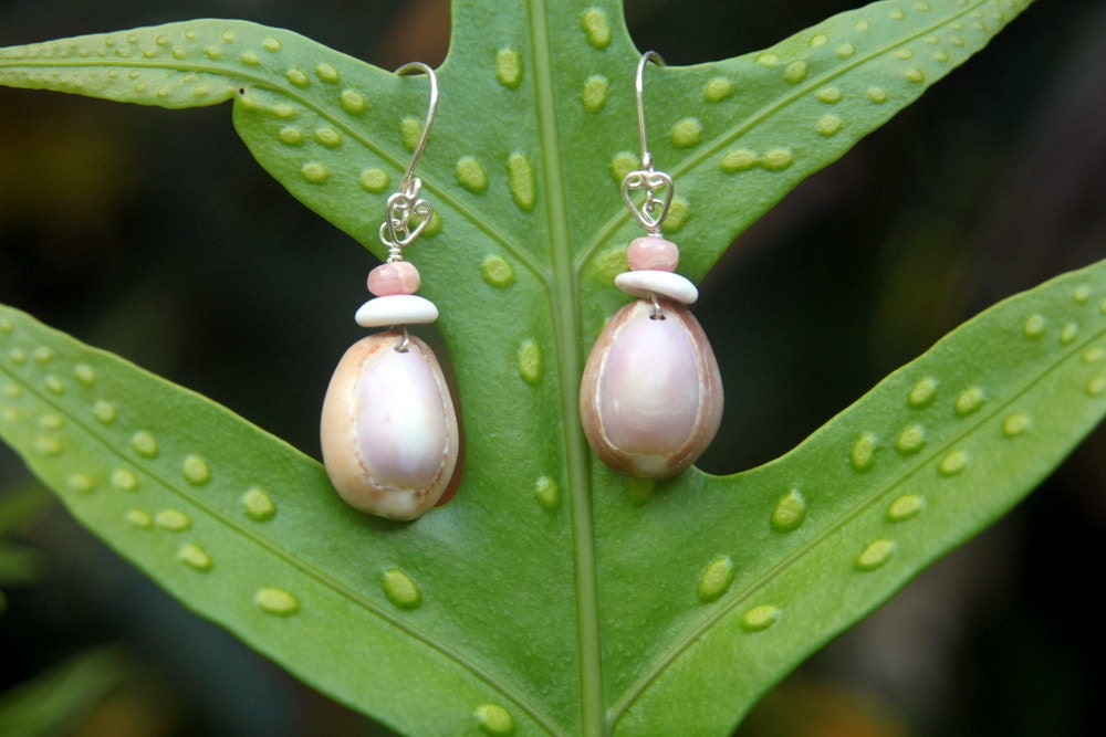 Big Island Cowry Shell & Puka Earrings w/ Rhodochrosite