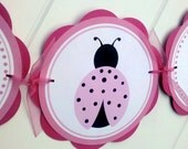 Ladybug HAPPY BIRTHDAY Banner - Ladybug Light & Hot Pink Themed Party Decorations - Ladybug Party Supplies