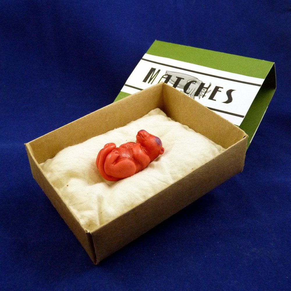 Baby Rat in Match Box - Original Mixed Media Rodent Sculpture