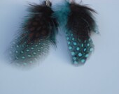 FREE SHIPPING Blue and Brown Spotted Feather Earrings