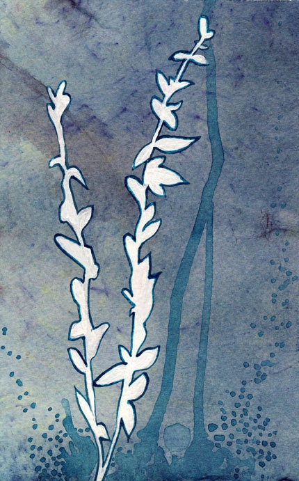 Growth