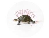 Danse Turtle Danse One Inch Button