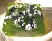 Sea Salt Kelp Soap - Vegan Handmade Glycerin Soap