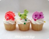 Dinosaur Party Favor Cupcake Toppers (12)
