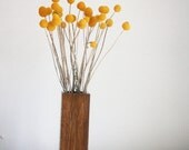 craspedia in brunette wood