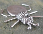 6 Antique Silver Beetle with Gluing Pad for Stone Findings 814