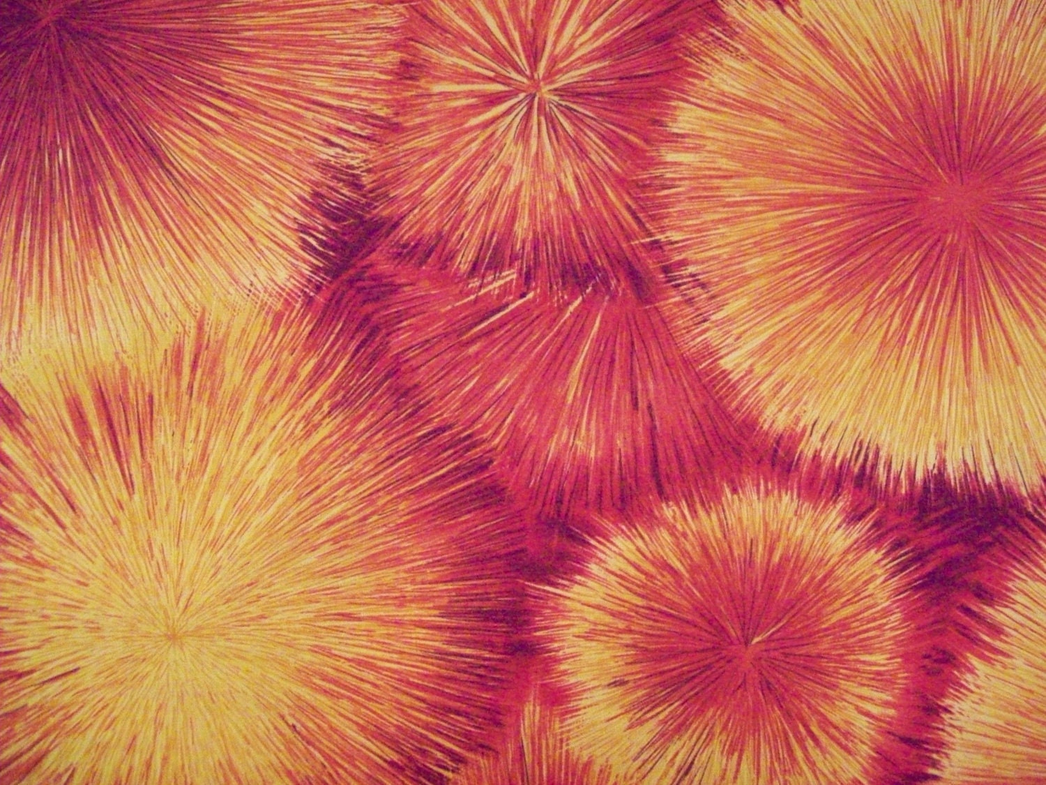 Orange Fireworks fabric 1  yard piece