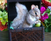 Pirates Treasure Box Baby Squirrel 100 percent Alpaca Needle Felted by Stevi T.