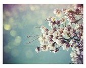Magnolia, 8.5x11 Inch Floral Art Print