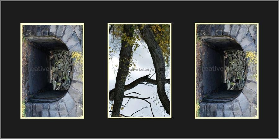 DAD-100 Alphabet Letter Photo Art available in color, black & white or sepia