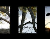 BREATHE-101 Alphabet Letter Art Photography choices- available in Color, Black & White or Sepia