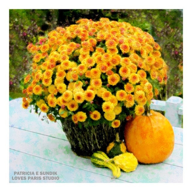 Mums With Gourds Impressionist Photo , 10 x10, Fine Art  Photograph