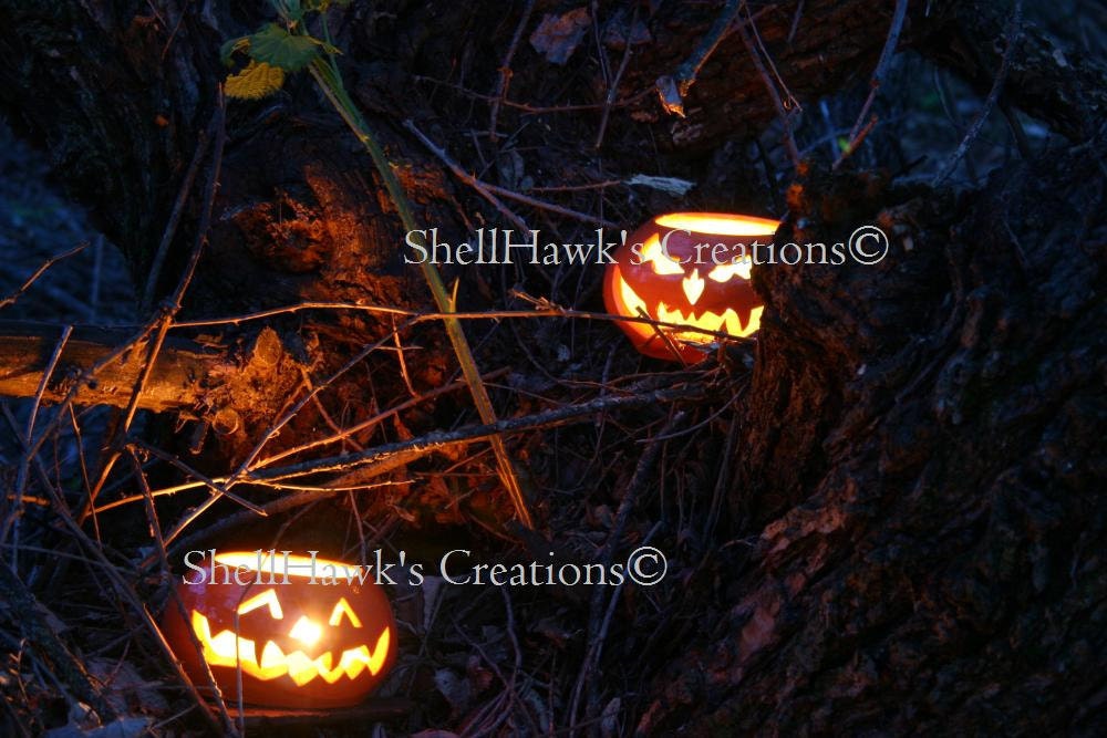 Halloween Jack o Lanterns Original Photograph 8 x 10 Black Matted