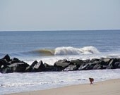 Dog on the Beach "Strolling on the Jersey Shore" Matted and Ready to Frame-Original Photography