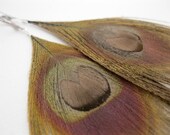 Topaz Peacock Feather Earrings