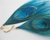 Bermuda Teal Peacock Feather Earrings