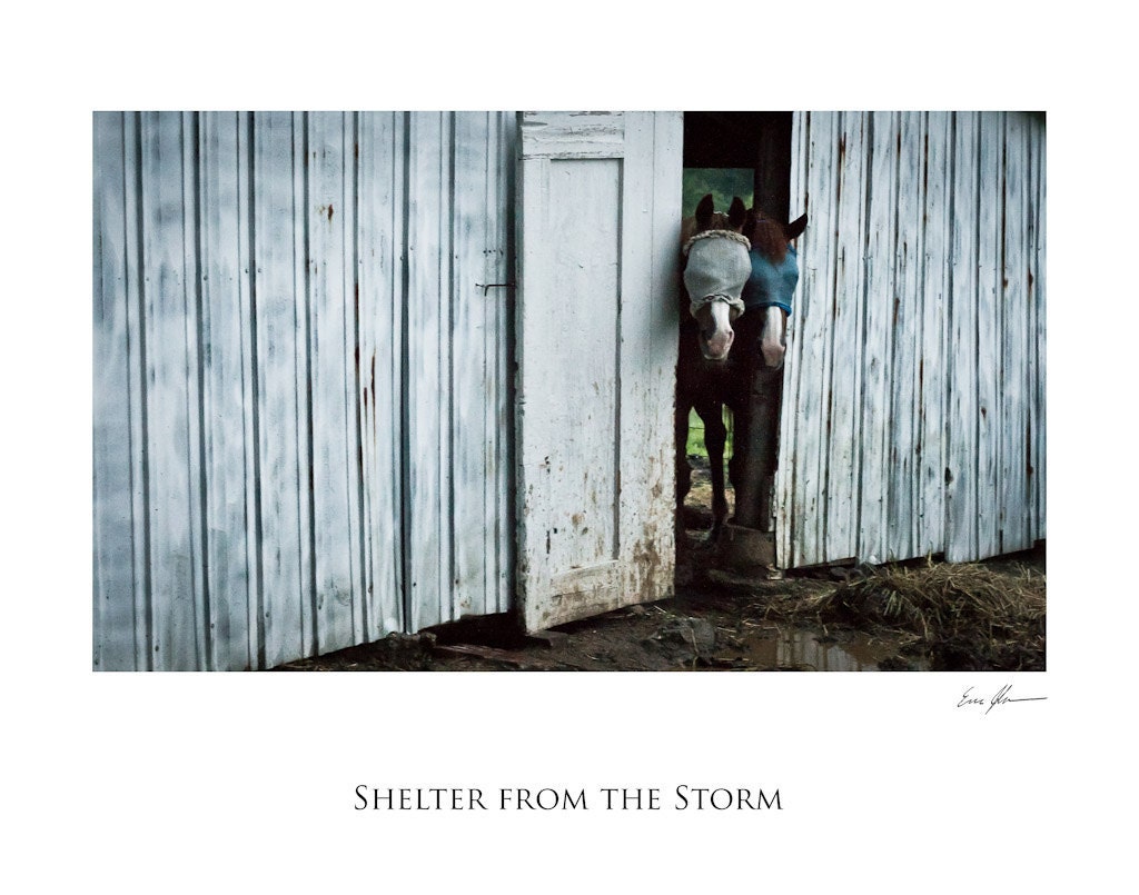 Shelter from the Storm, 11"x14" Print