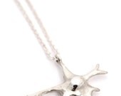Sterling Silver Oligodendrocyte Necklace