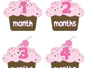 Baby Month Stickers Baby Girl Monthly Onesie Stickers Hot Pink and Brown Cupcake Month Stickers Girl Baby Shower Gift and Photo Prop Sophia