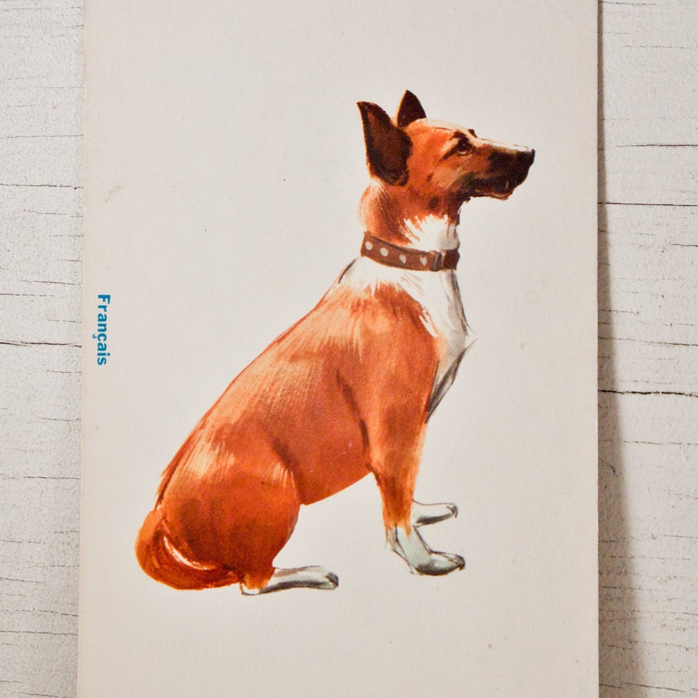 Dog Illustration Print Flash Card