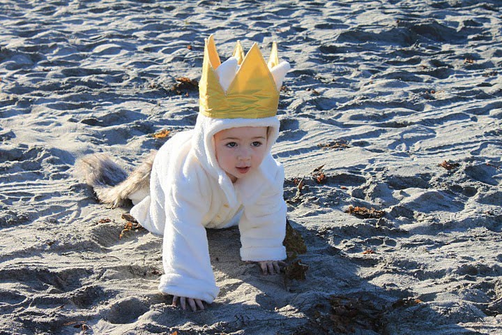 Max Wolf Kids/Infant Suit