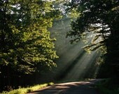 Let Your Light Shine - Unmatted - 11 x 14 Photograph