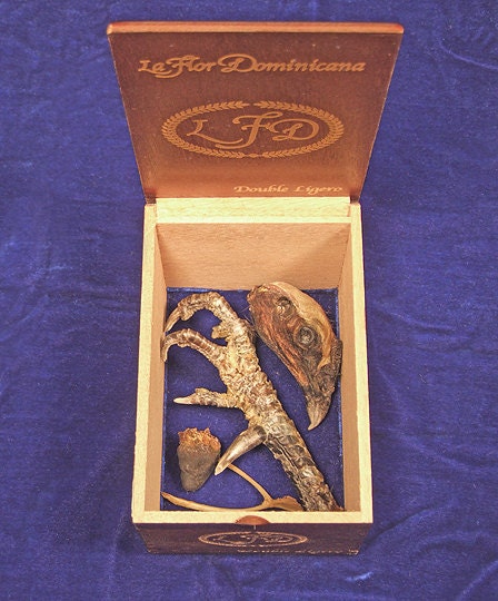 SANTERIA SPELL KIT real mummified animal occult offerings for Valentine's Day love spells