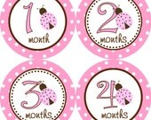 Baby Month Stickers Girl Monthly Onesie Stickers Light Pink Brown Polkadot Ladybug Onesie Month Stickers Baby Shower Gift Photo Prop Sophia