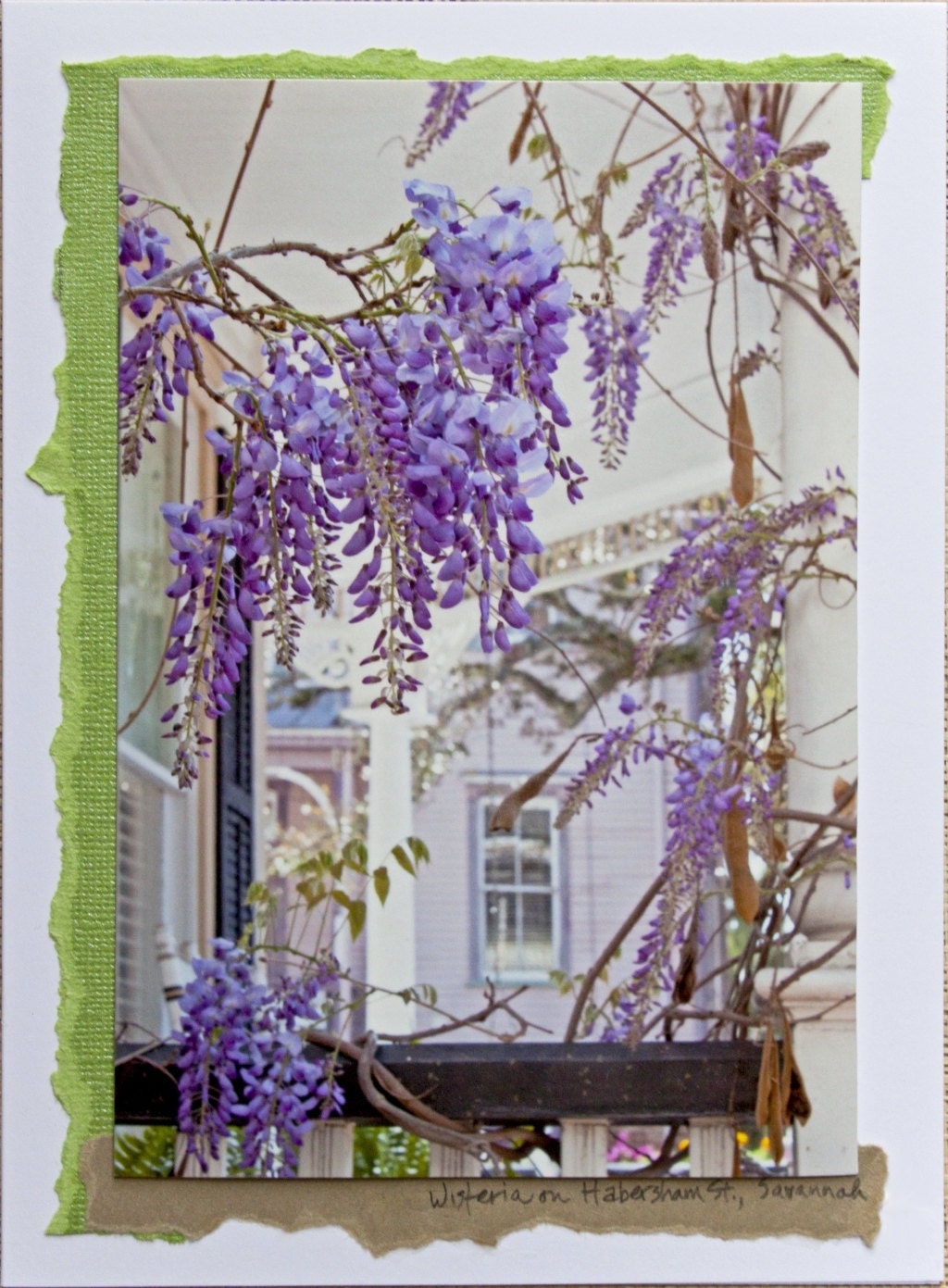 Photo Card - "Victorian Wisteria, Savannah, Ga.," handmade by Melissa Schneider